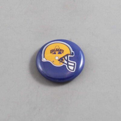NCAA Albany Great Danes Button 01
