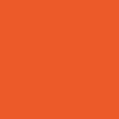 Torrid Orange 749